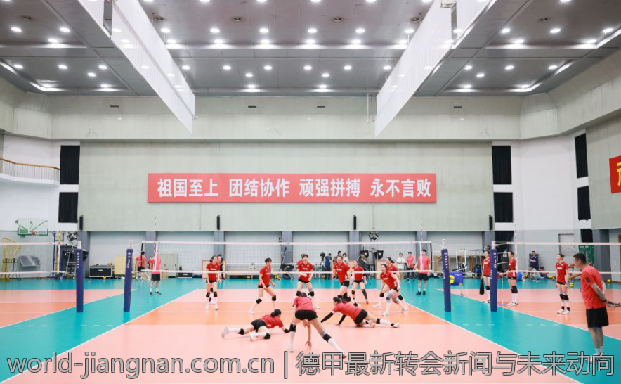 德甲最新转会新闻与未来动向